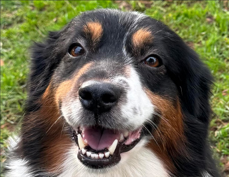 DominoMomsPage